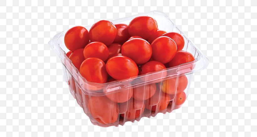 Detail Cherry Tomato Png Nomer 33