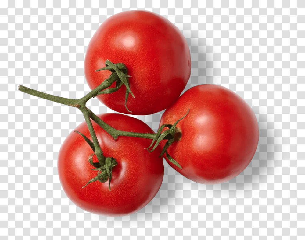 Detail Cherry Tomato Png Nomer 36
