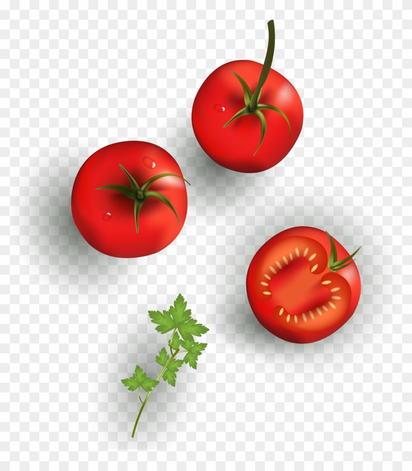 Detail Cherry Tomato Png Nomer 40