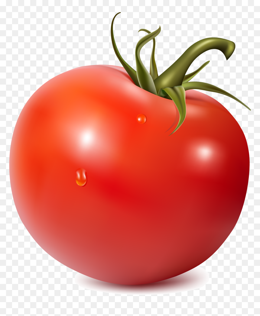 Detail Cherry Tomato Png Nomer 54