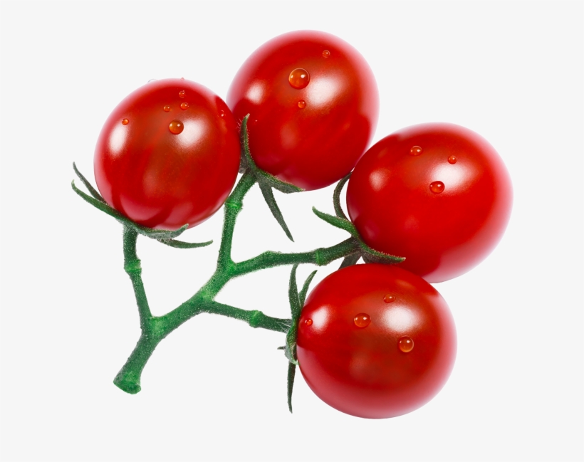 Detail Cherry Tomato Png Nomer 56