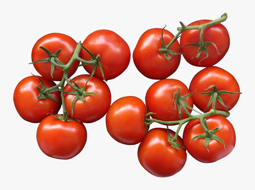 Detail Cherry Tomato Png Nomer 10