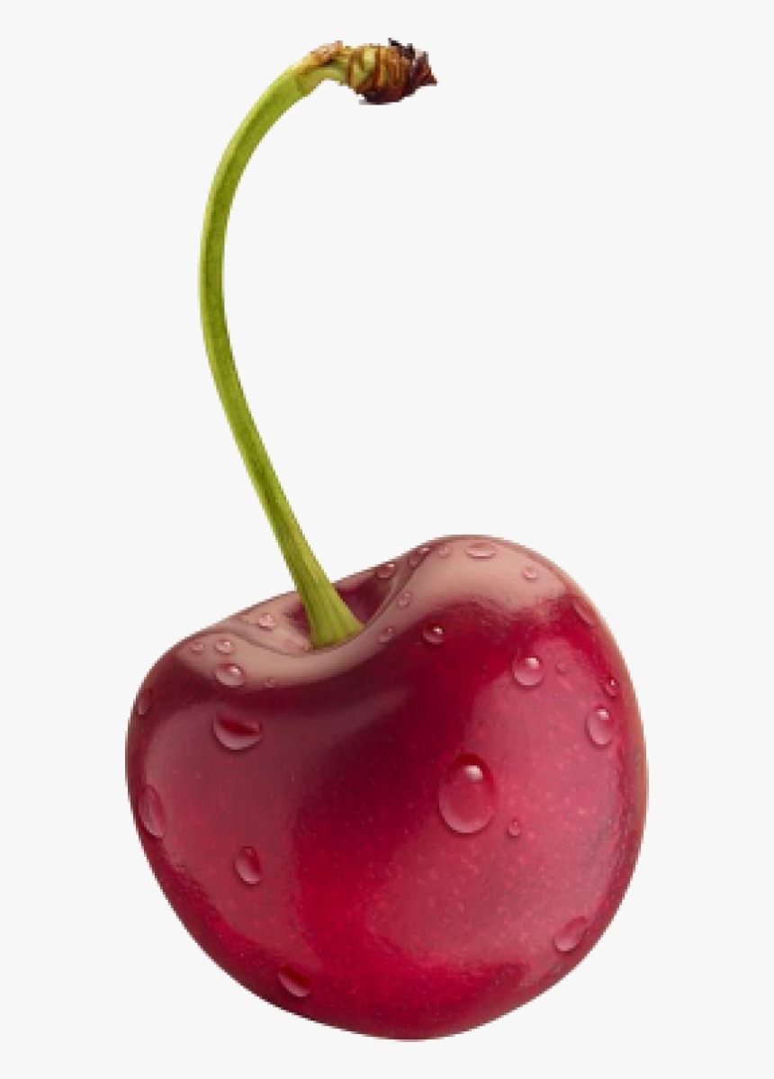 Detail Cherry Transparent Background Nomer 16