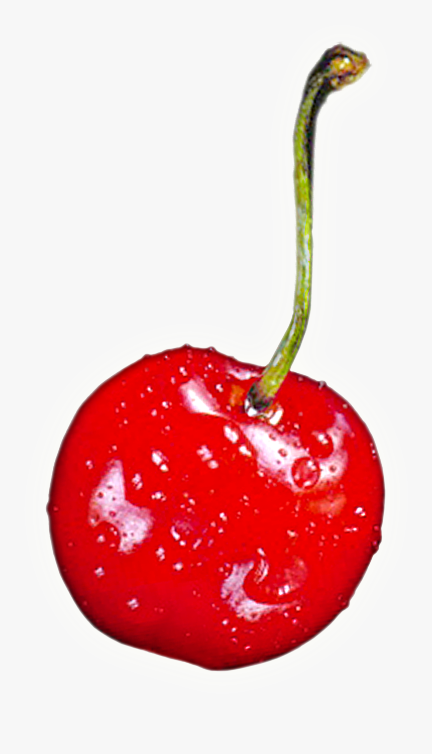 Detail Cherry Transparent Background Nomer 28