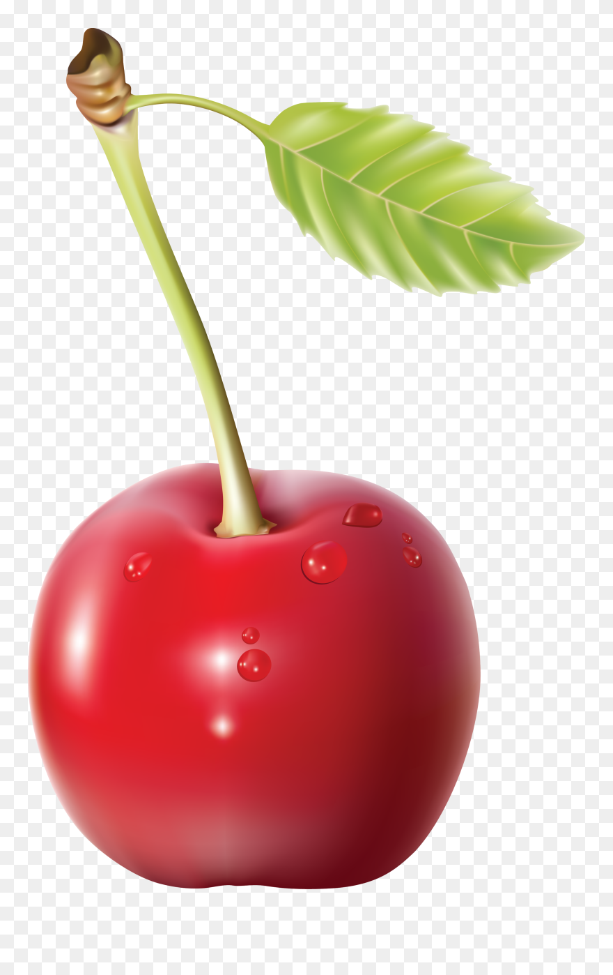 Detail Cherry Transparent Background Nomer 29