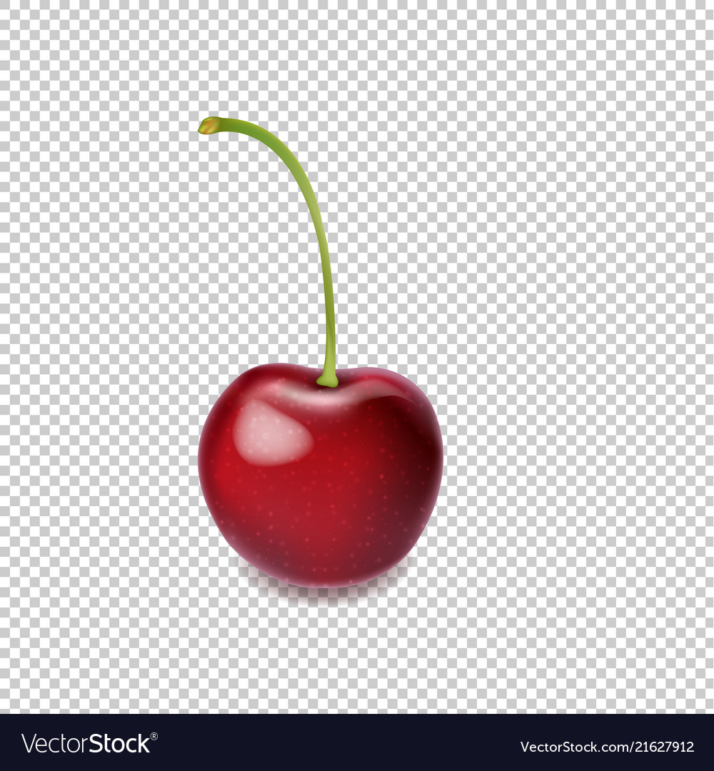 Detail Cherry Transparent Background Nomer 4
