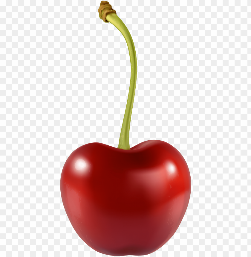 Detail Cherry Transparent Background Nomer 40