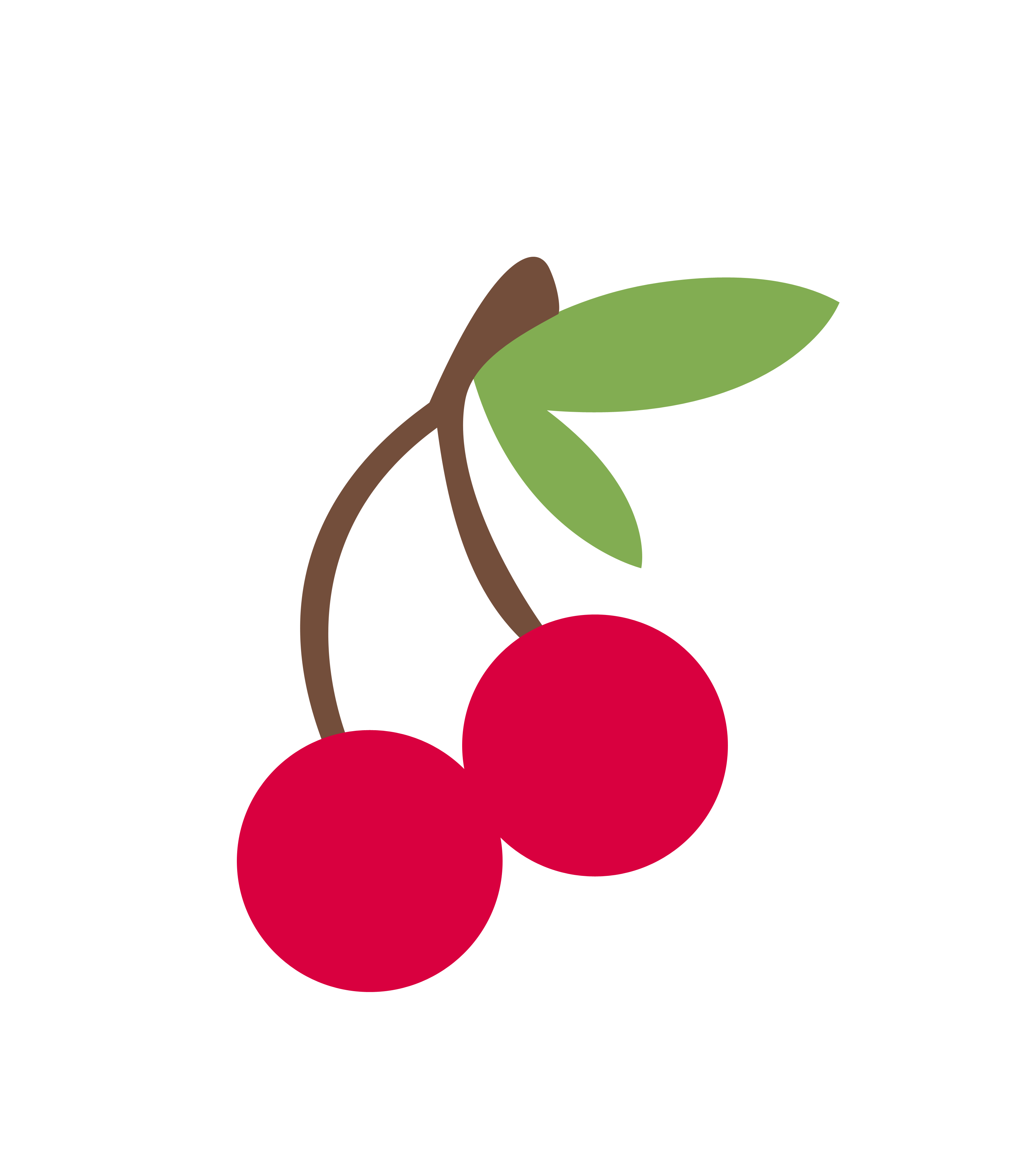 Detail Cherry Transparent Background Nomer 56