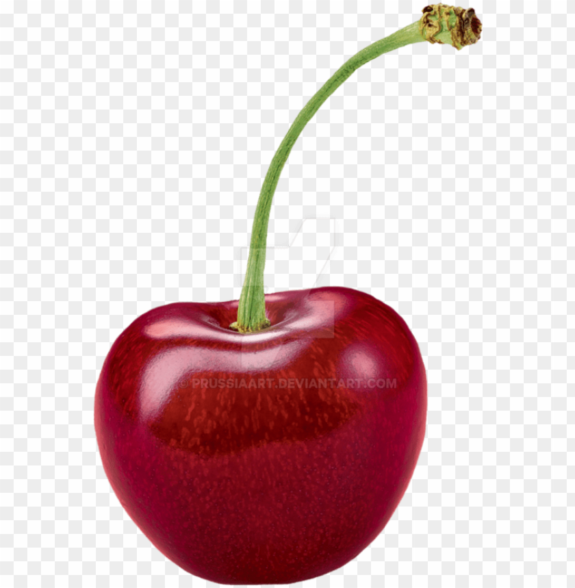 Detail Cherry Transparent Background Nomer 7