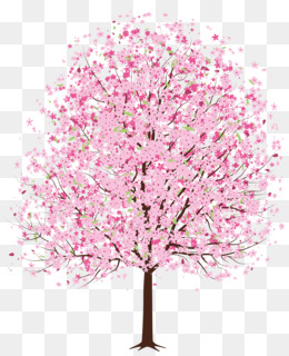 Detail Cherry Tree Png Nomer 20