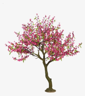 Detail Cherry Tree Png Nomer 29