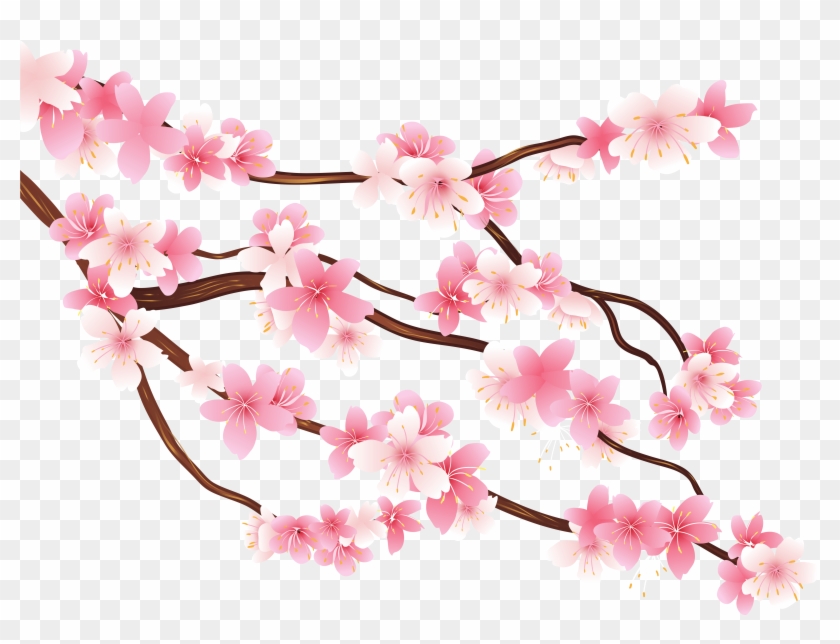 Detail Cherry Tree Png Nomer 32
