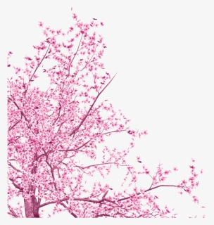 Detail Cherry Tree Png Nomer 36
