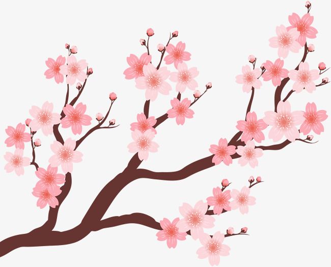 Detail Cherry Tree Png Nomer 46