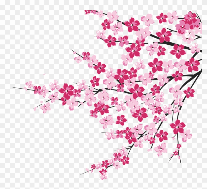 Detail Cherry Tree Png Nomer 47