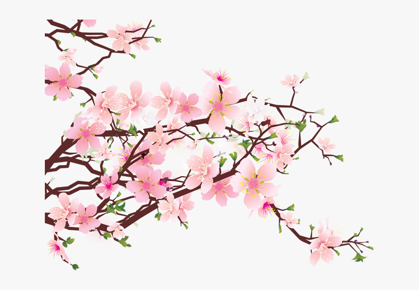 Detail Cherry Tree Png Nomer 6