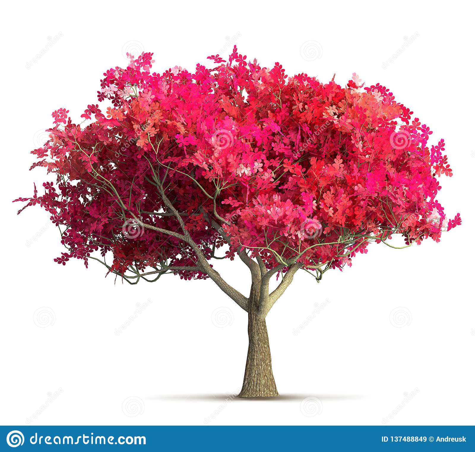 Detail Cherry Tree Png Nomer 49