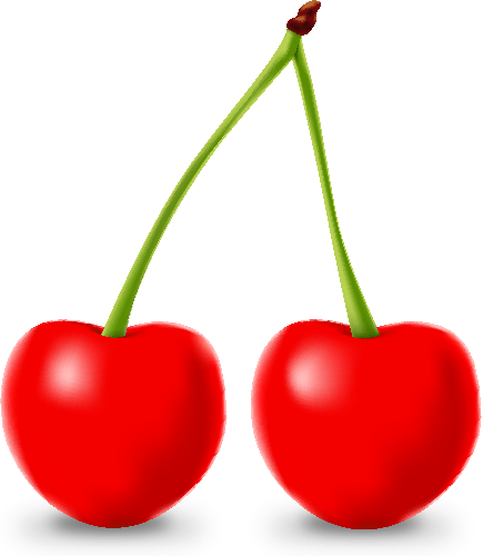 Detail Cherry Vector Png Nomer 14