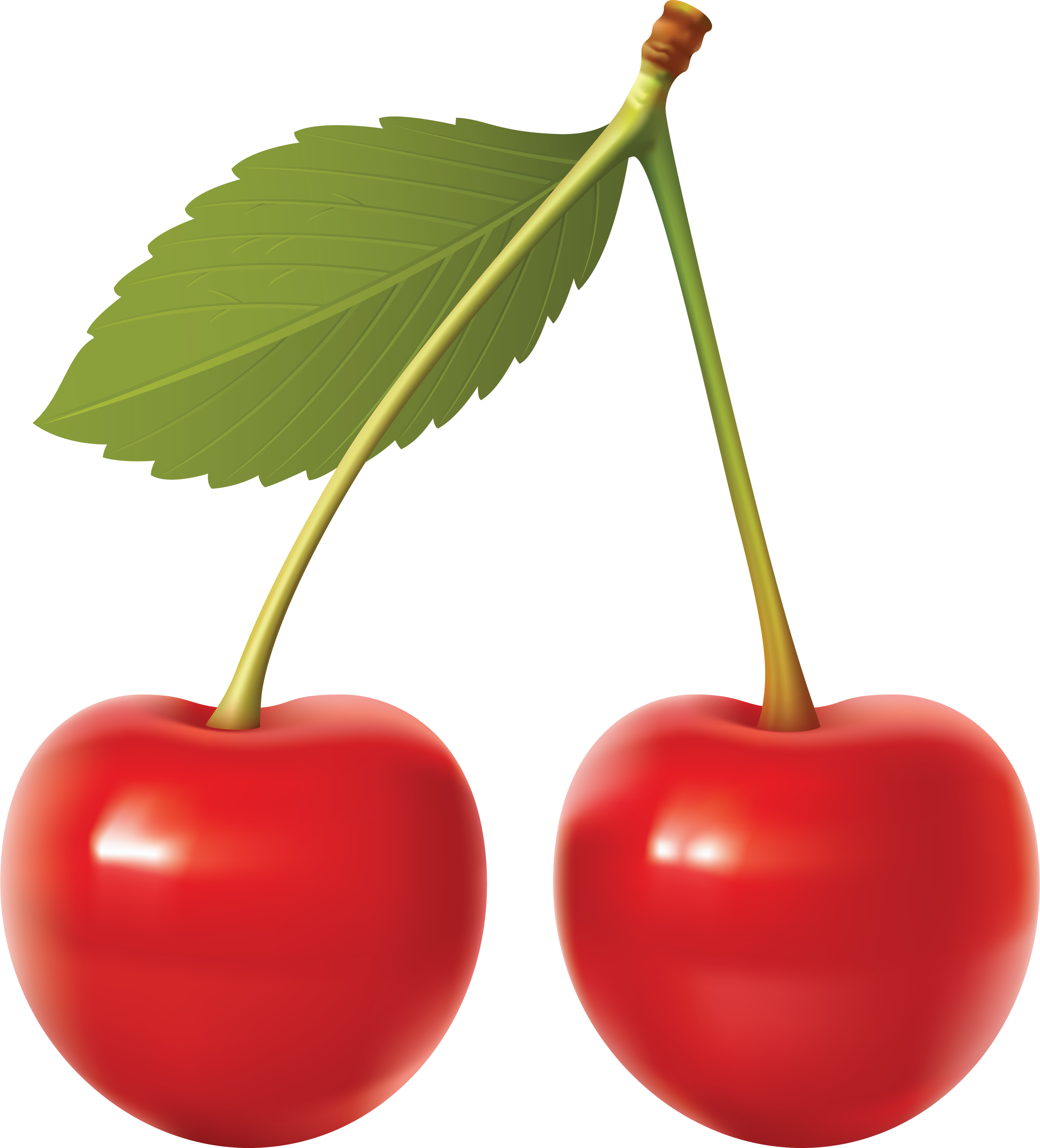 Detail Cherry Vector Png Nomer 15