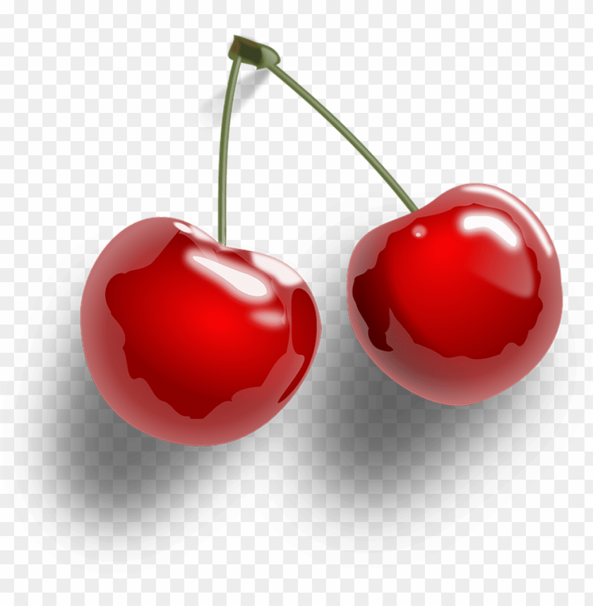 Detail Cherry Vector Png Nomer 16