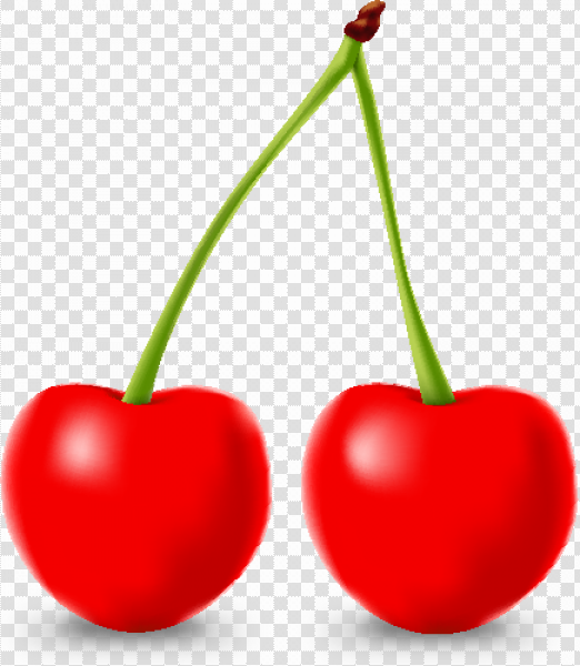 Detail Cherry Vector Png Nomer 19