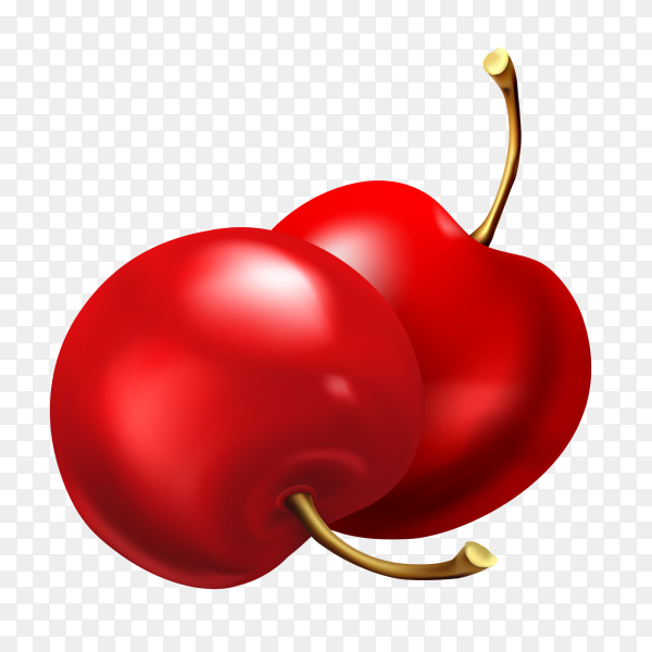 Detail Cherry Vector Png Nomer 20