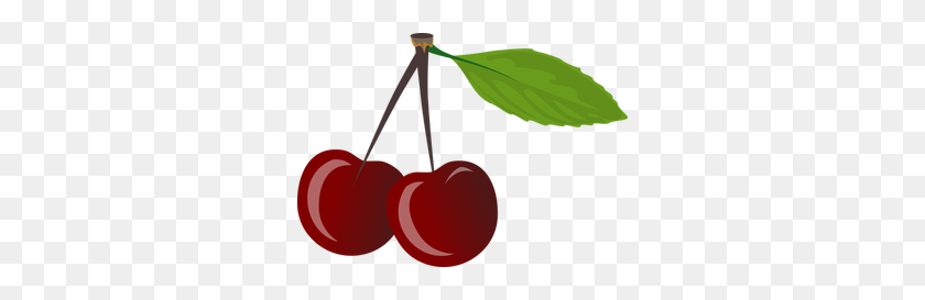 Detail Cherry Vector Png Nomer 21