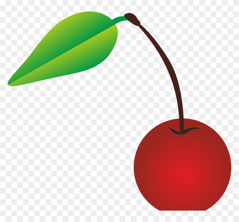 Detail Cherry Vector Png Nomer 39