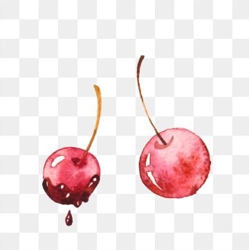 Detail Cherry Vector Png Nomer 42