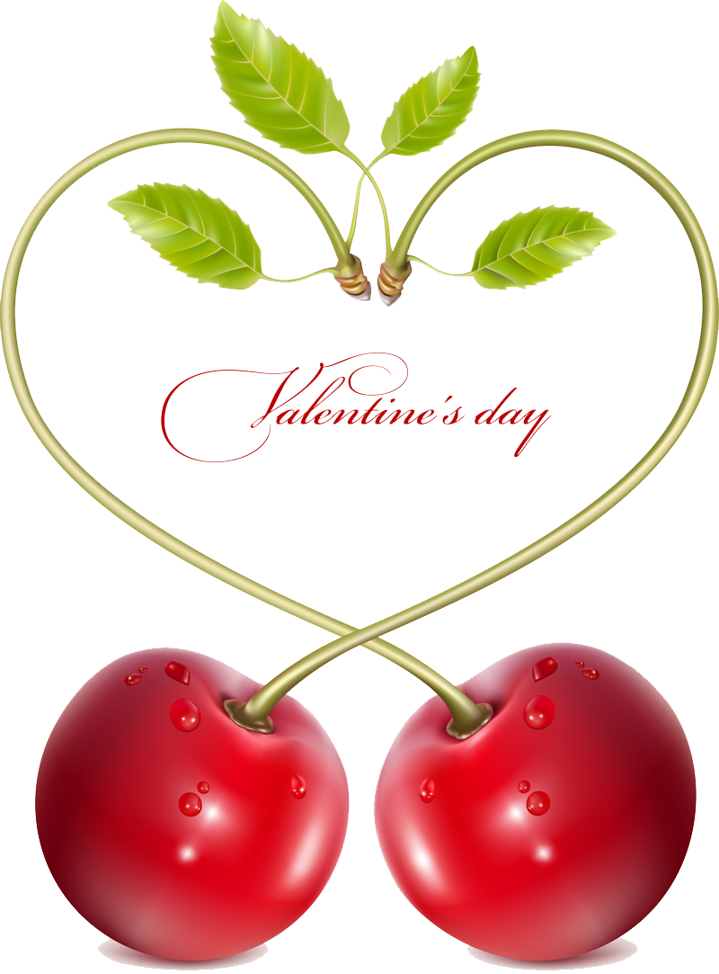 Detail Cherry Vector Png Nomer 45