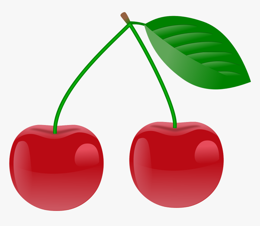 Detail Cherry Vector Png Nomer 6