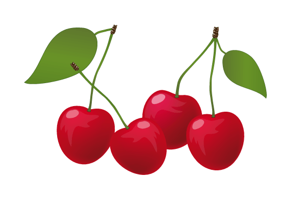 Detail Cherry Vector Png Nomer 52