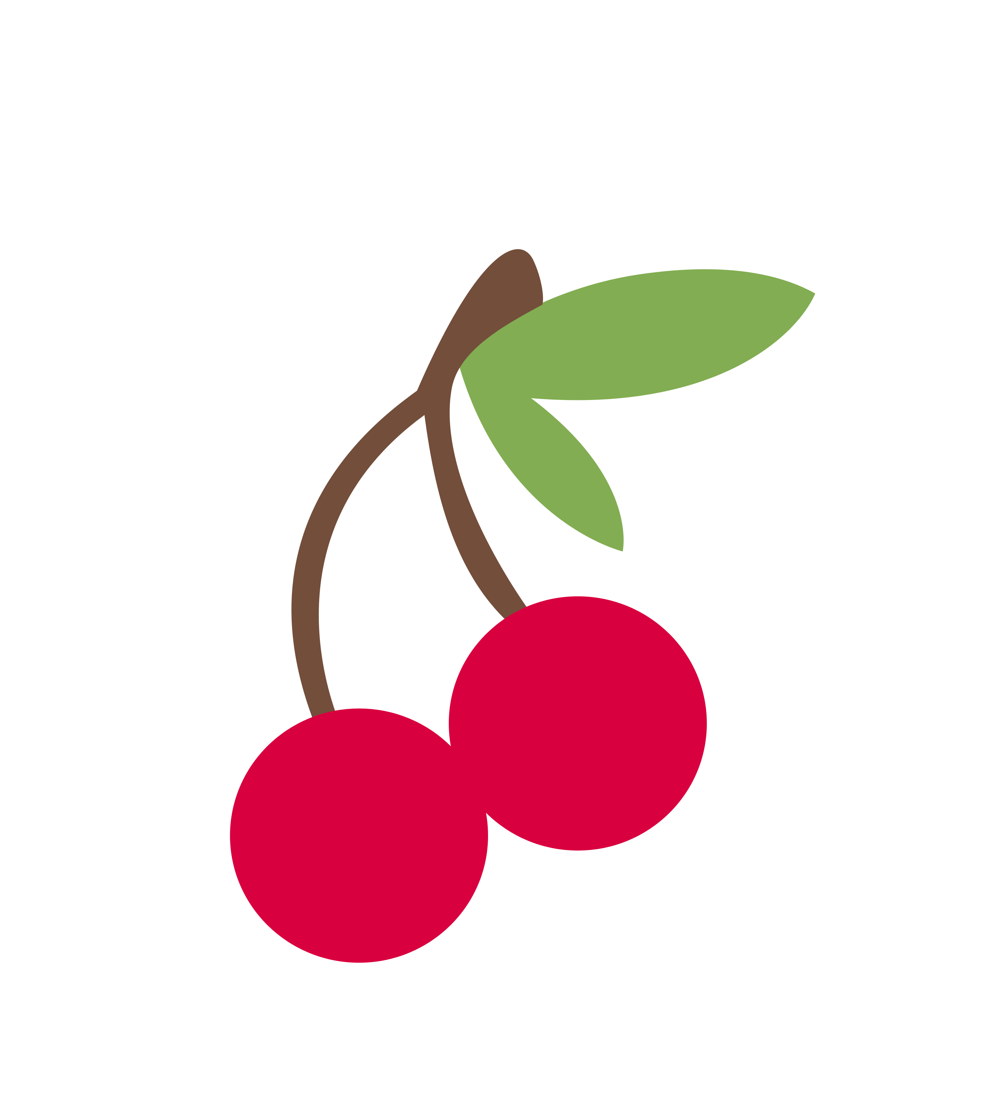 Detail Cherry Vector Png Nomer 8