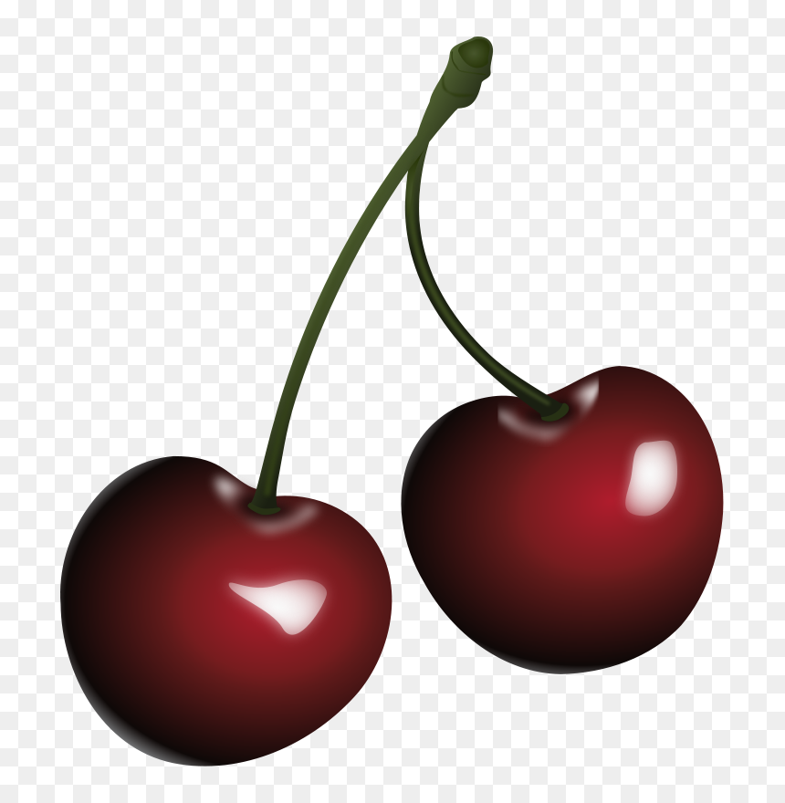 Detail Cherry Vector Png Nomer 9