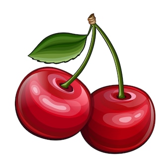 Detail Cherry Vector Png Nomer 10