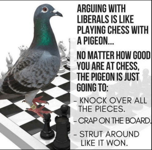 Detail Chess With A Pigeon Meme Nomer 11