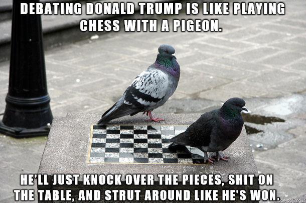 Detail Chess With A Pigeon Meme Nomer 17