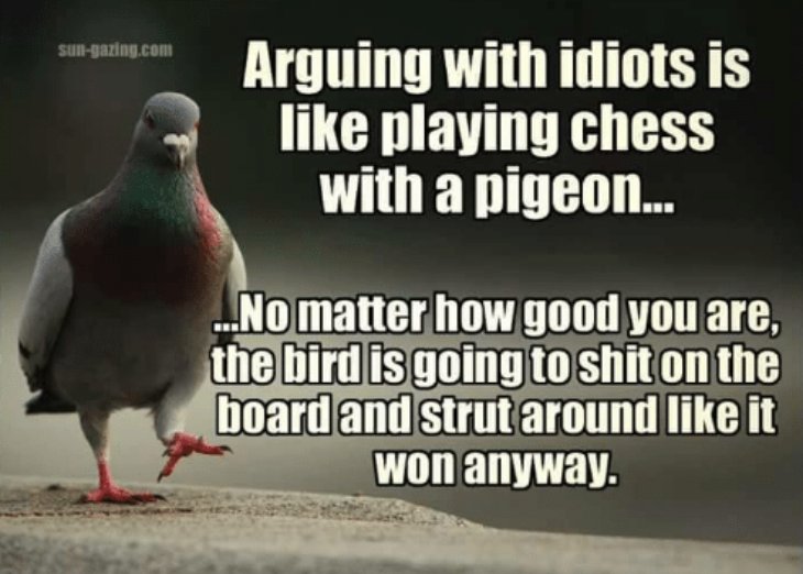 Detail Chess With A Pigeon Meme Nomer 3