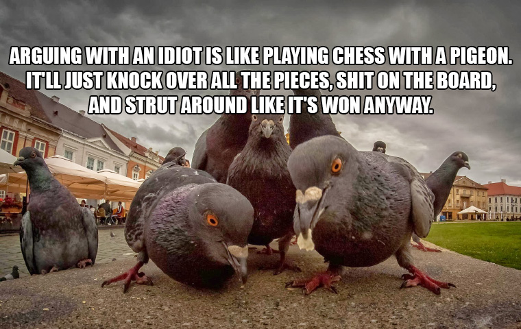 Detail Chess With A Pigeon Meme Nomer 30