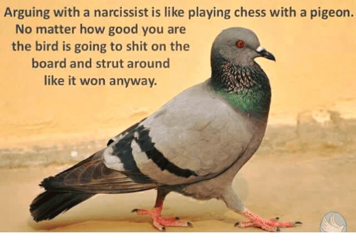 Detail Chess With A Pigeon Meme Nomer 35