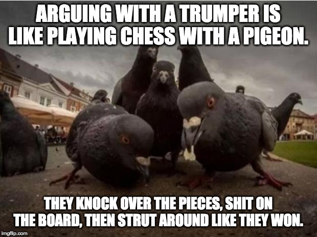 Detail Chess With A Pigeon Meme Nomer 10