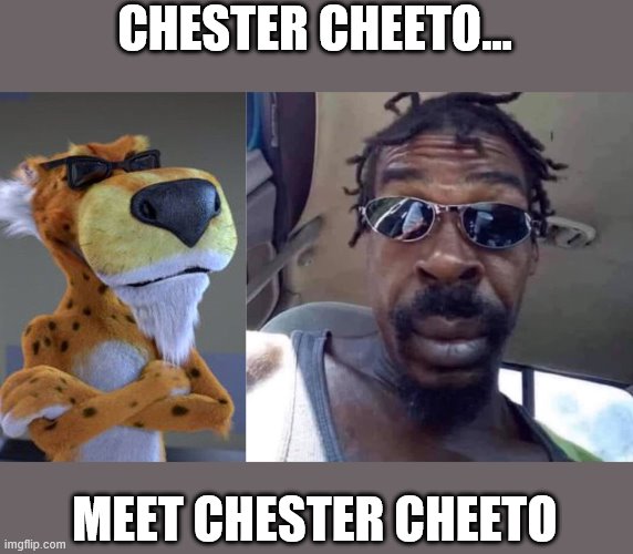 Detail Chester Cheeto Meme Nomer 50