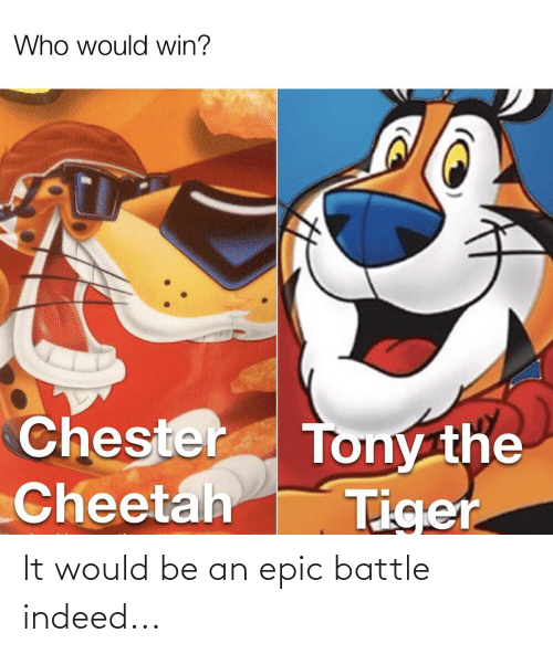 Detail Chester The Cheetah Meme Nomer 23