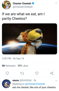 Detail Chester The Cheetah Meme Nomer 36