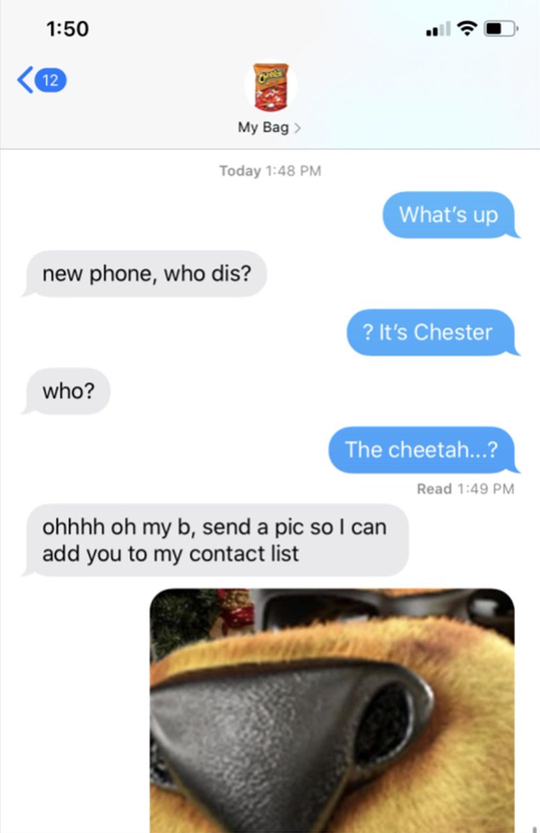 Detail Chester The Cheetah Meme Nomer 51