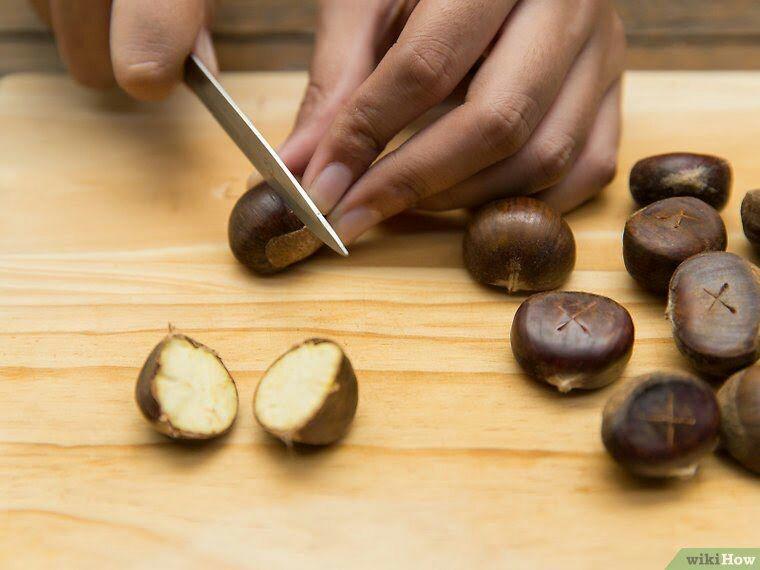 Detail Chestnut Di Indonesia Nomer 10