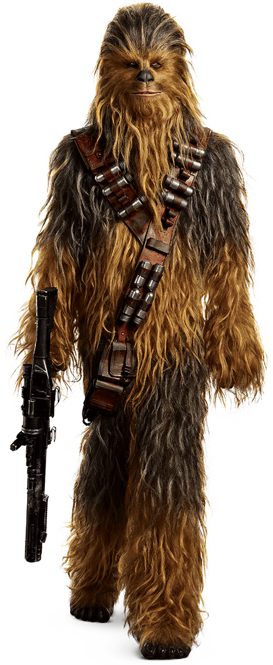 Detail Chewbacca Transparent Nomer 2