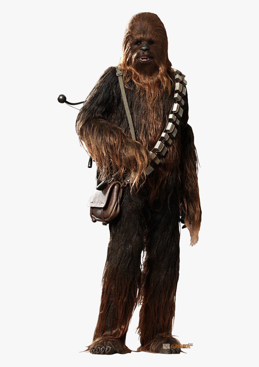 Detail Chewbacca Transparent Nomer 12