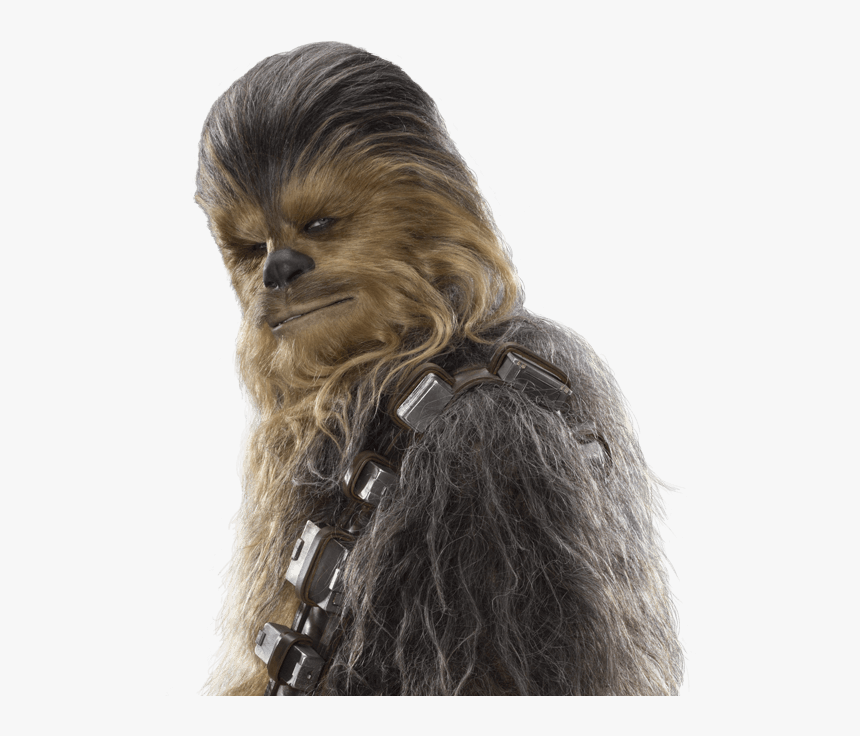 Detail Chewbacca Transparent Nomer 16