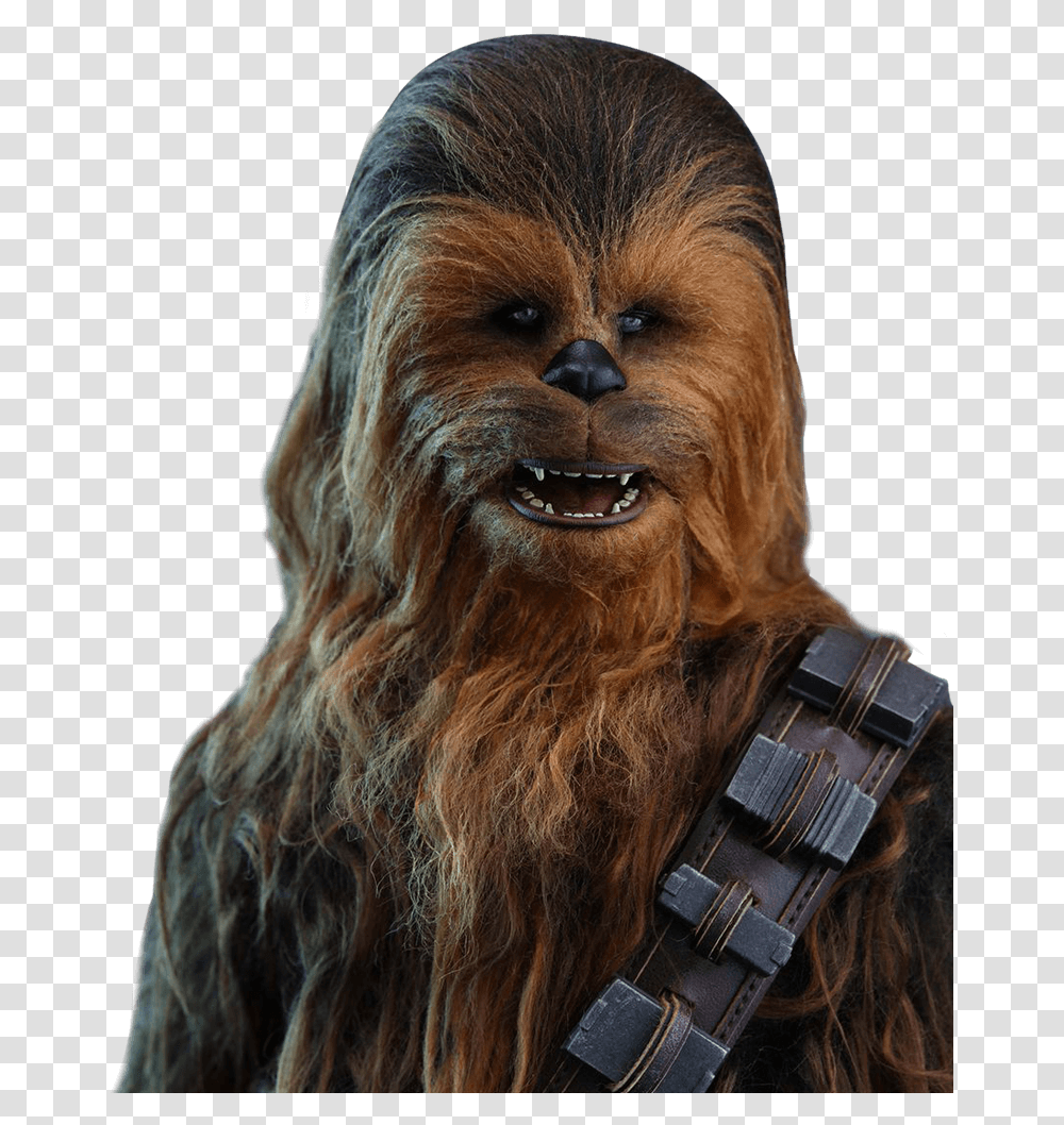 Detail Chewbacca Transparent Nomer 19